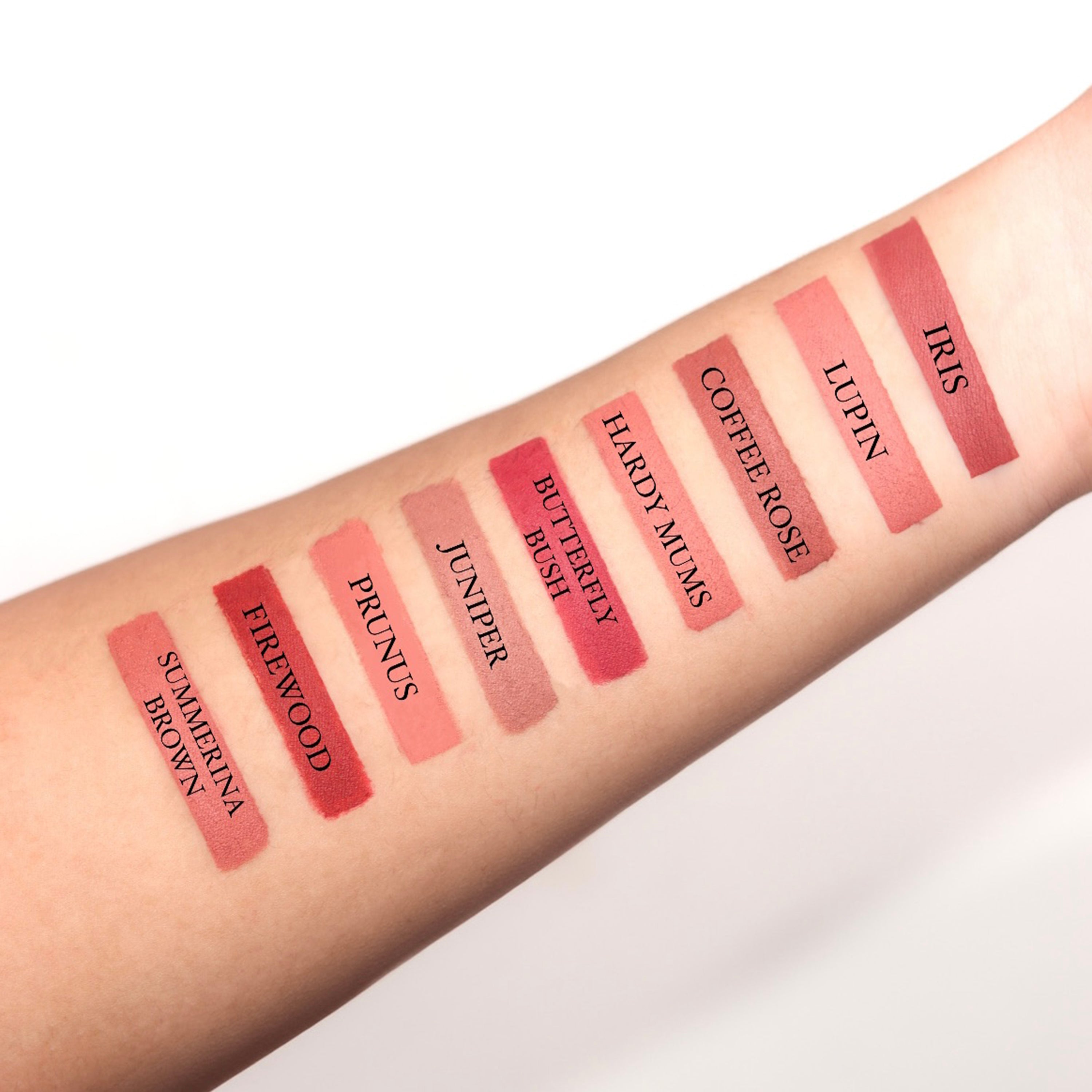 LIP CRAYON NON-TRANSFER LIPSTICK 2. O - PACK OF 5
