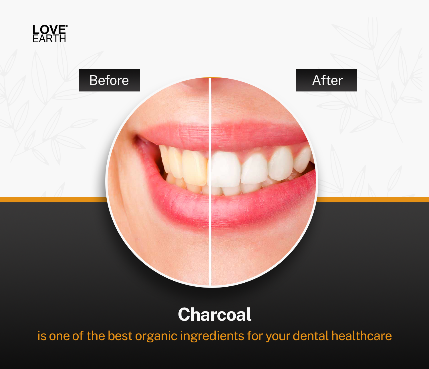 Teeth Whitening Charcoal Powder