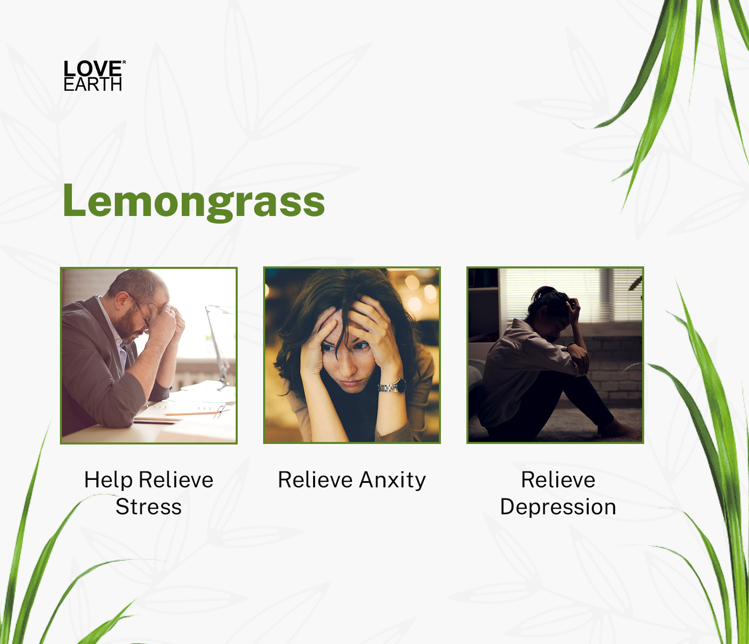 Reed Diffuser- Lemongrass