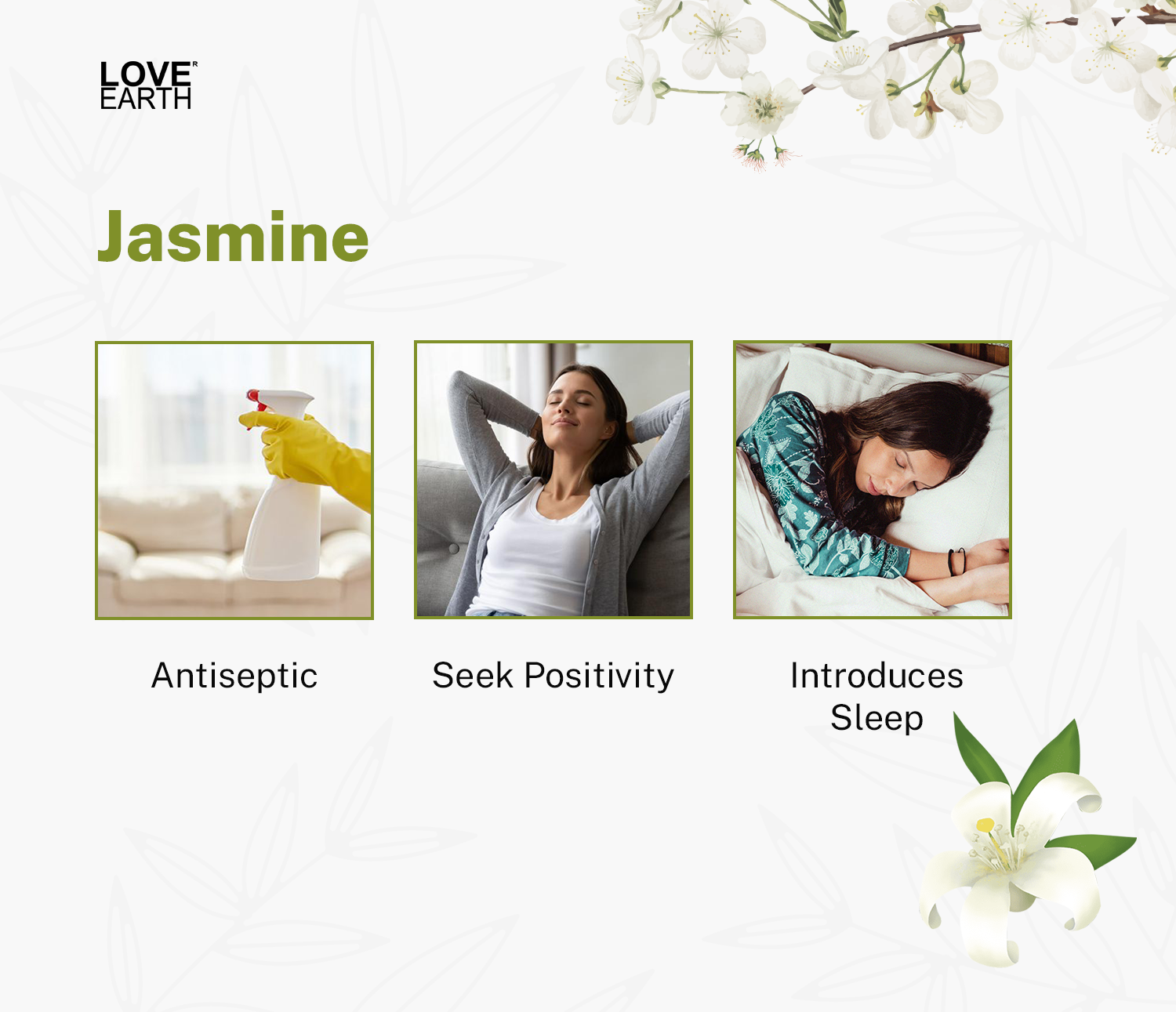 Reed Diffuser - Jasmine