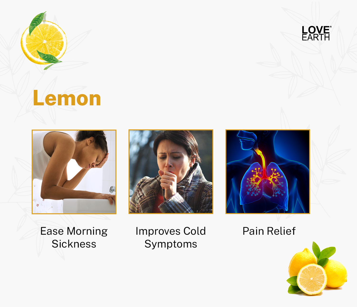 Reed Diffuser – Lemon