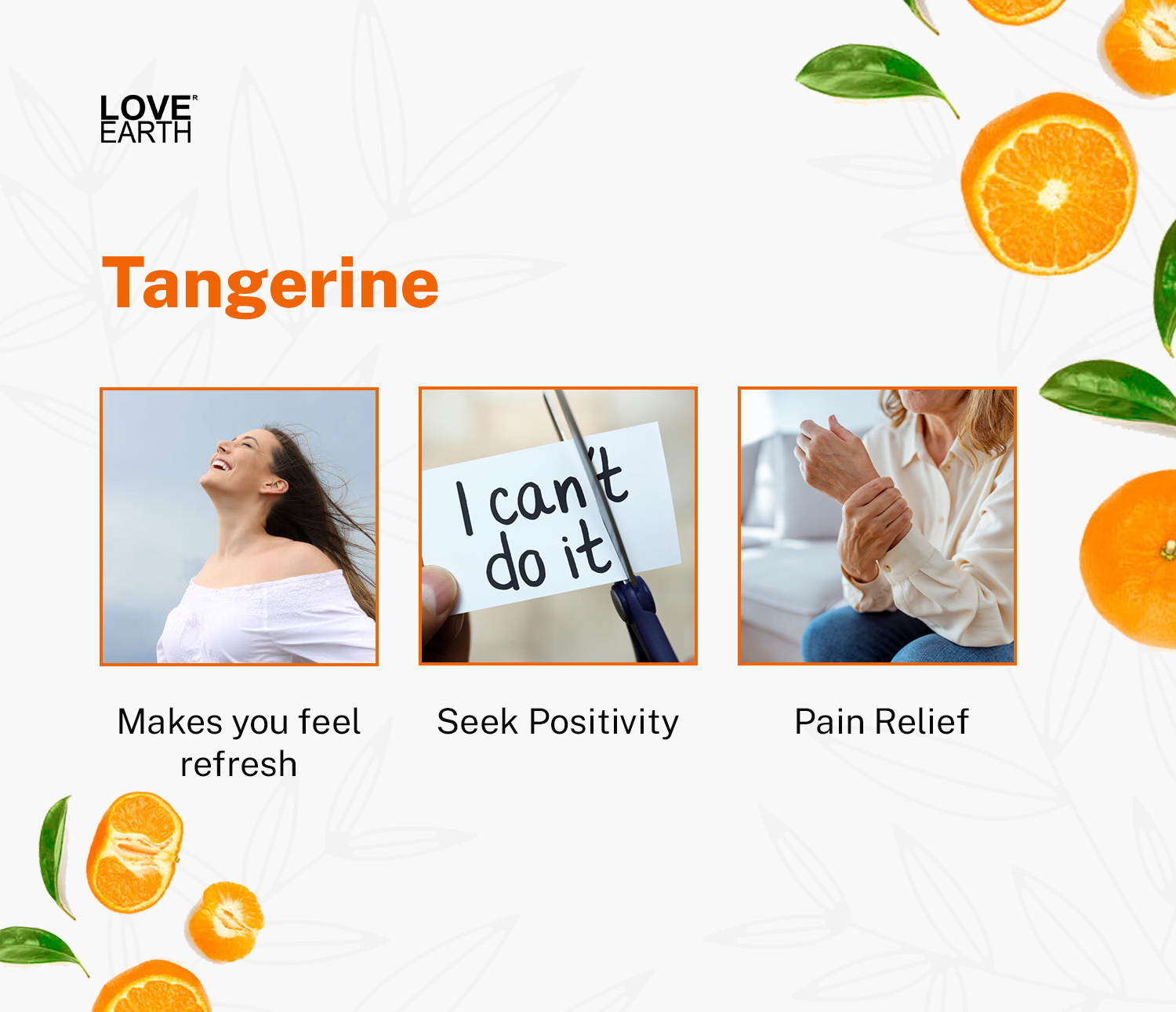 Reed Diffuser- Tangerine