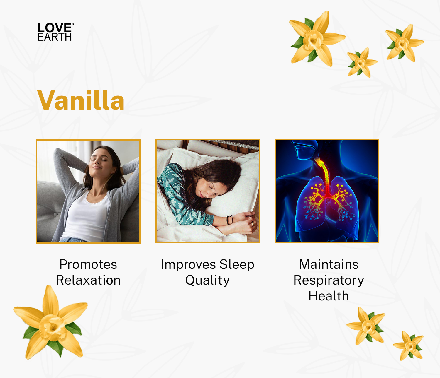 Reed Diffuser- Vanilla