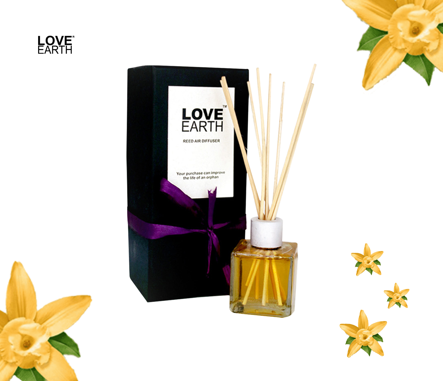 Reed Diffuser- Vanilla