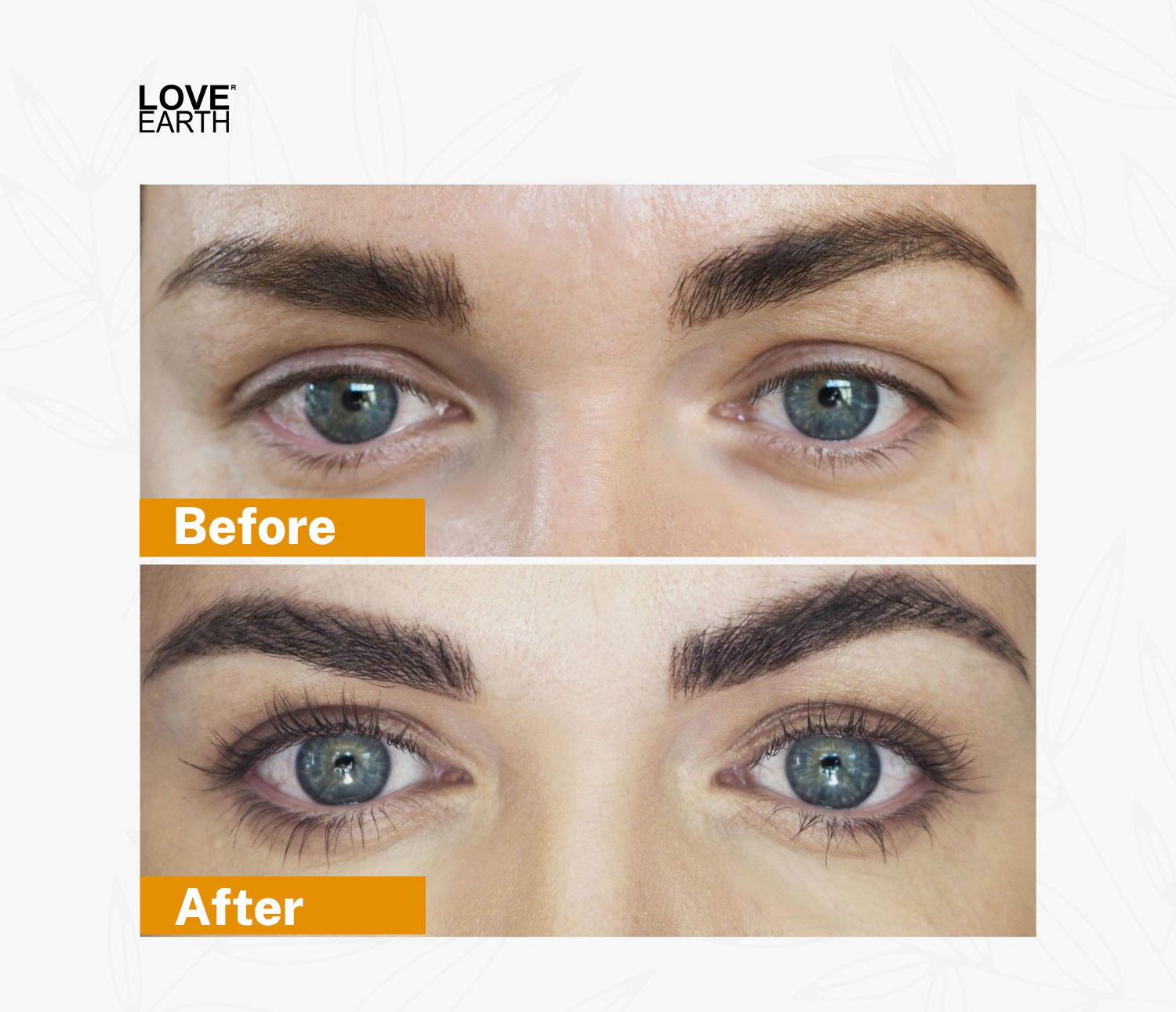 Eyebrow & Eyelash Growth Oil